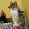 Отзыв от Зоя Ежова